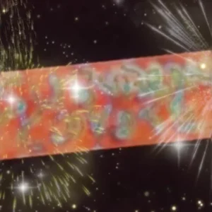 Run Psychedelic Back
